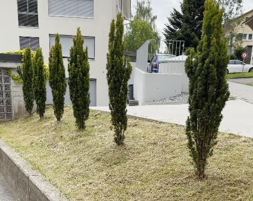 Gartenprojekt 6 von Saubärli