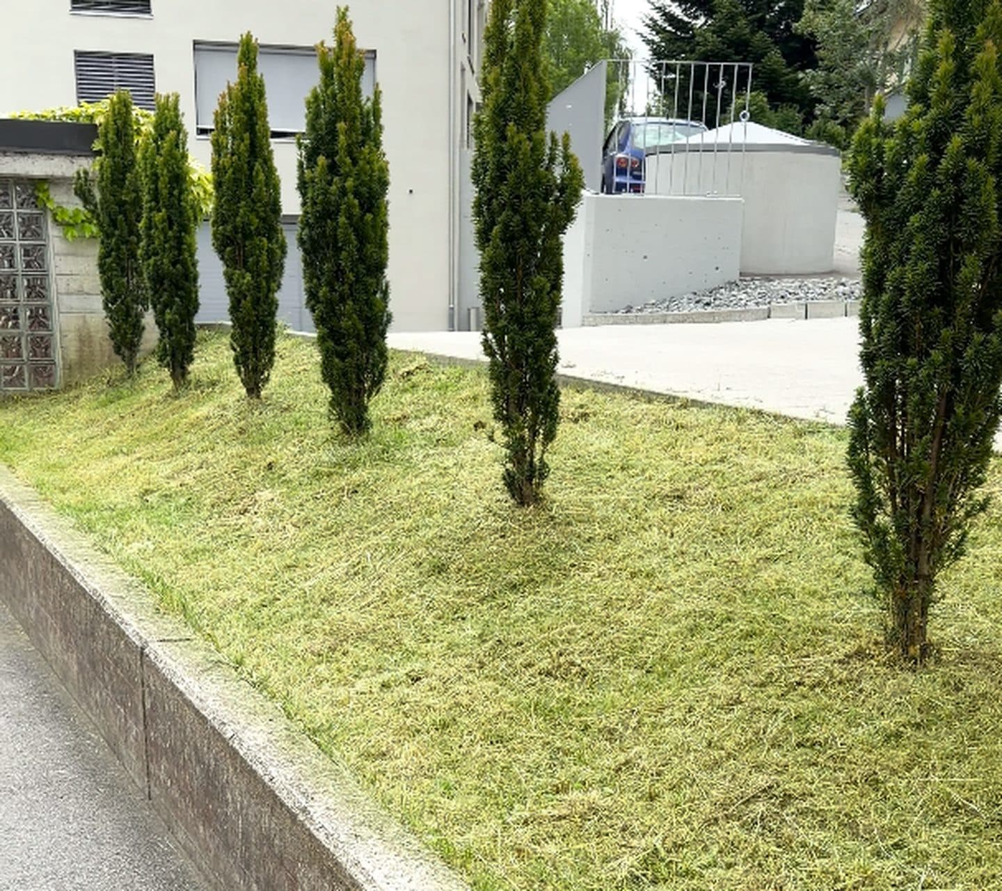 Gartenpflege after professional service