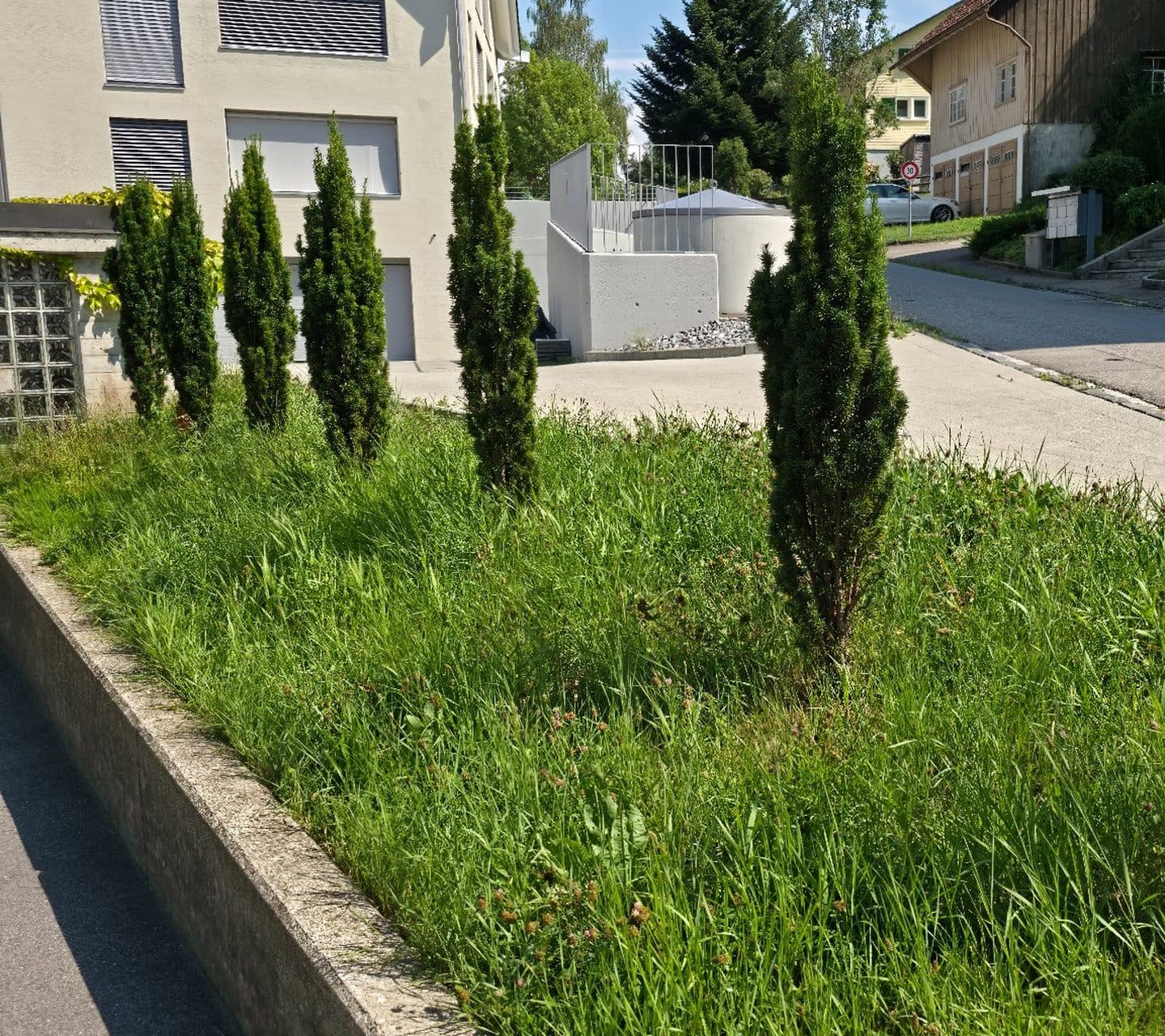 Gartenpflege before professional service