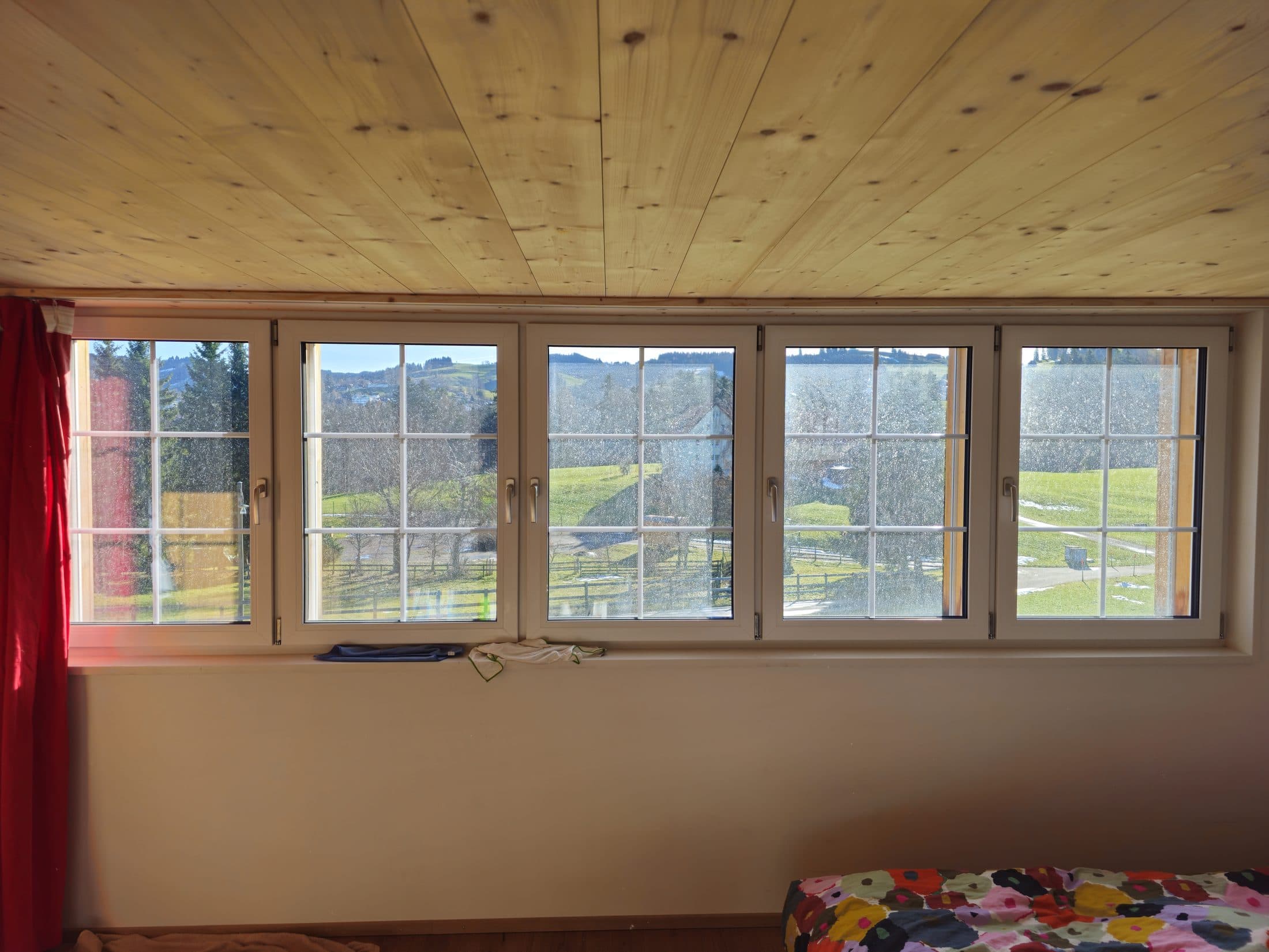 Fensterreinigung before professional service